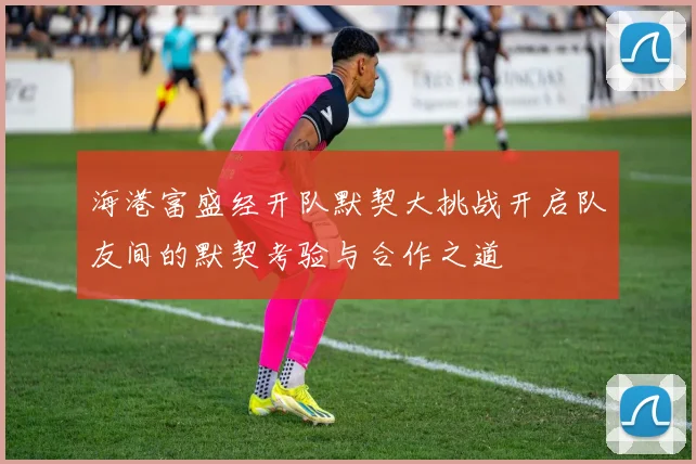 海港富盛经开队默契大挑战开启队友间的默契考验与合作之道
